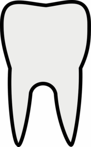 endodontics-dentistry-640x480-95313233.png