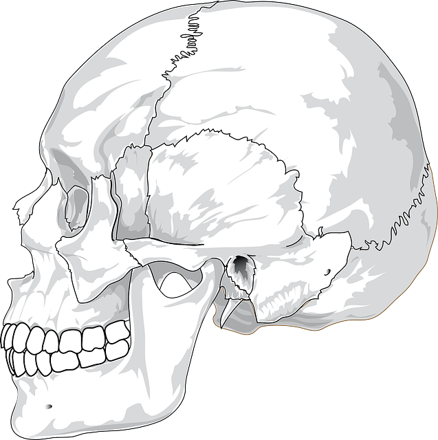 jaw pain blog