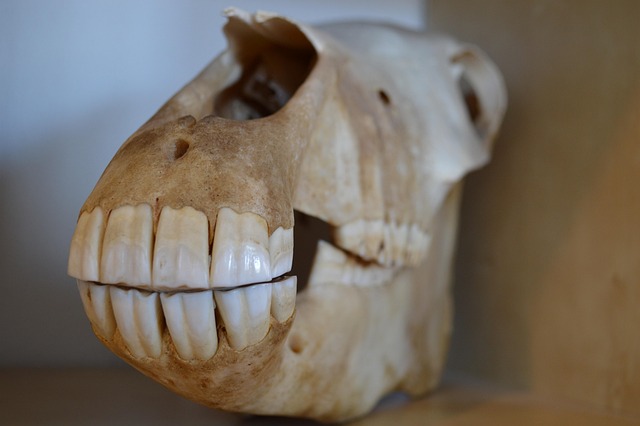 jaw-pain-blog-640x480-9329447.jpeg