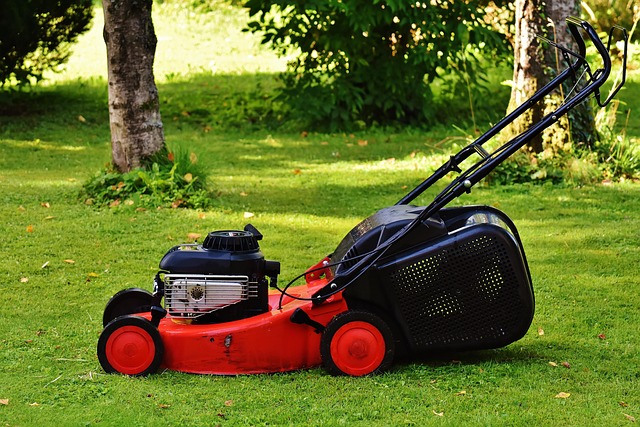 lawn-care-640x480-37480507.jpeg