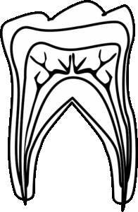 oral-rehabilitation-640x480-40172828.png