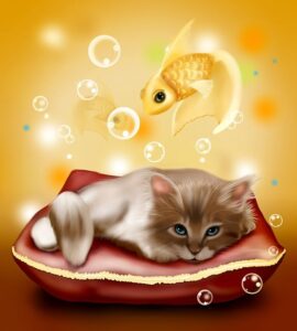orange-kittens-640x480-94892119.jpeg