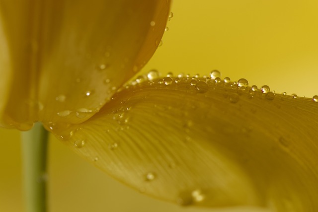 product liability claim injuries