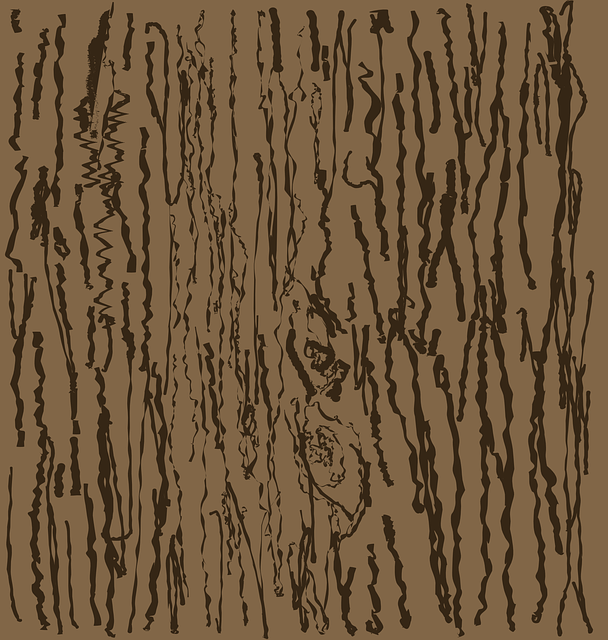 veneers-640x480-4399545.png