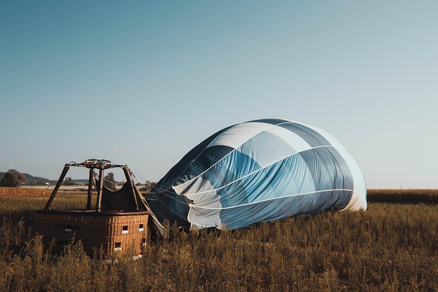 Purify Air: Transform Spaces, Ensure Pet Comfort Happiness