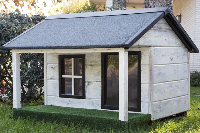 Uniting Clean Air: Top Dog-Friendly Home Purifiers
