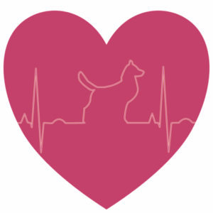 best-air-purifier-for-pets-640x480-53273297.png