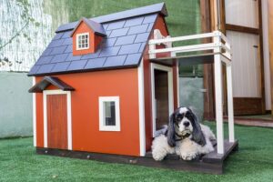 best-air-purifier-for-pets-640x480-69750466.jpeg