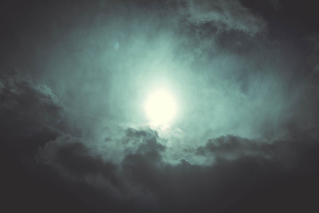 Transform Your Air Quality with Top Purifiers
