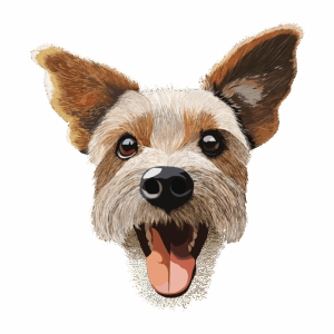best-air-purifier-for-pets-640x480-82177526.png