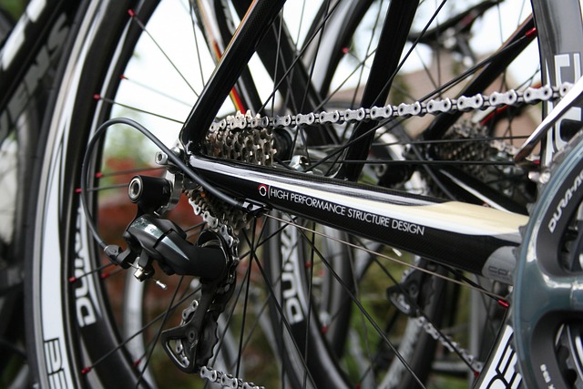 bicycle injury