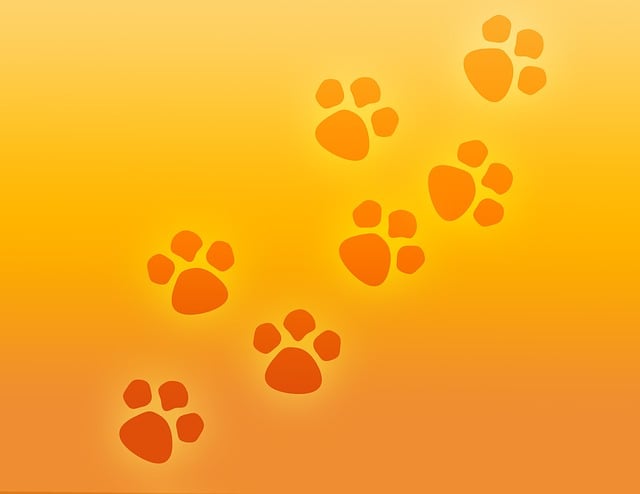 Cute Orange Cats