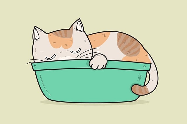 Cute Orange Cats
