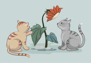 cute-orange-cats-640x480-90500788.png
