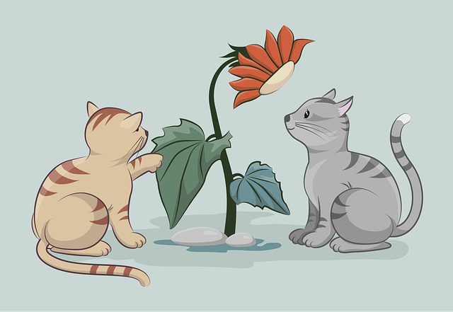 cute-orange-cats-640x480-90500788.png
