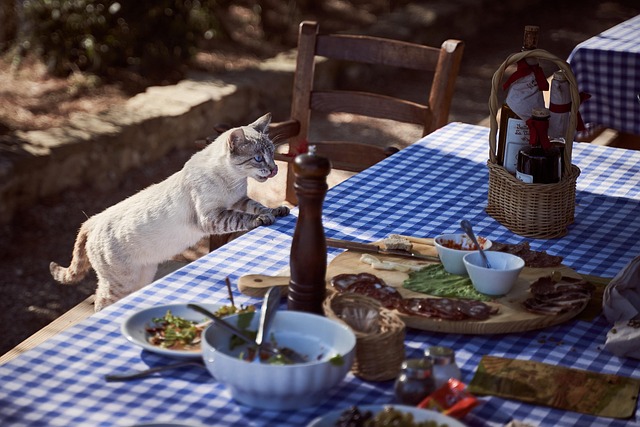 Domestic Cats