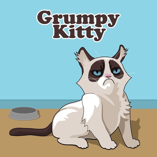 Domestic Cats