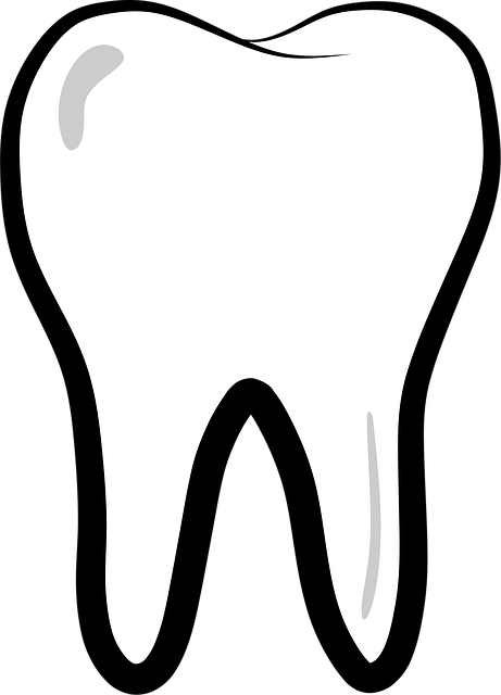 endodontics dentistry
