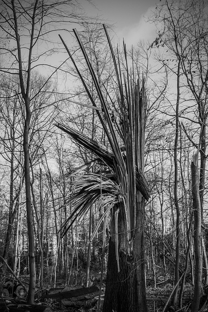 hurricane damage injuries