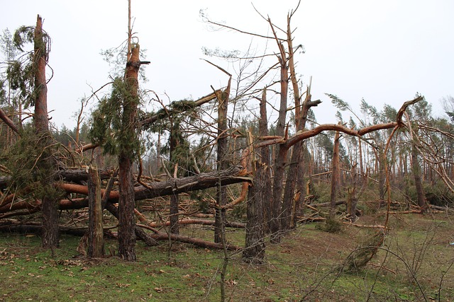 hurricane damage injuries