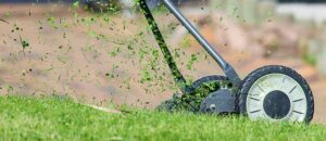 lawn-care-640x480-15482482.jpeg