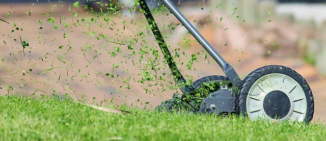 lawn-care-640x480-15482482.jpeg