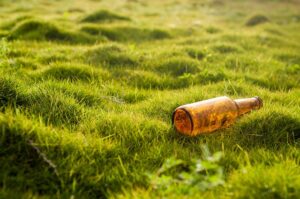 lawn-care-640x480-70745305.jpeg