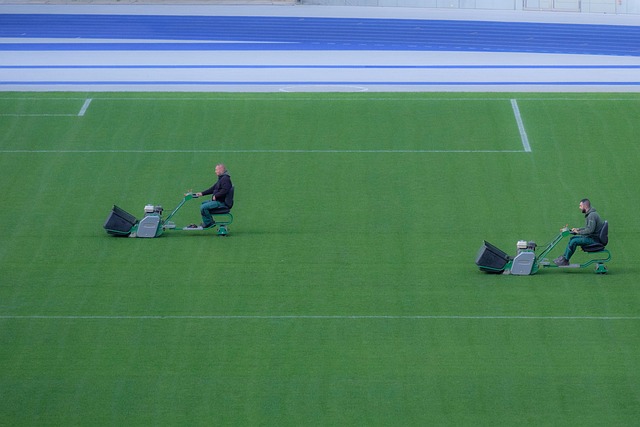 lawn-care-640x480-73246334.jpeg
