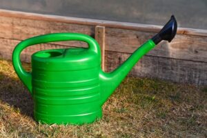 lawn-care-640x480-85646403.jpeg