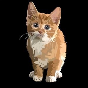 orange-kittens-640x480-45919311.jpeg