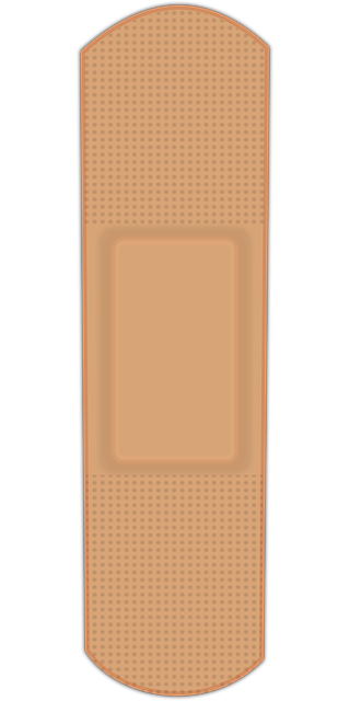 premises injury