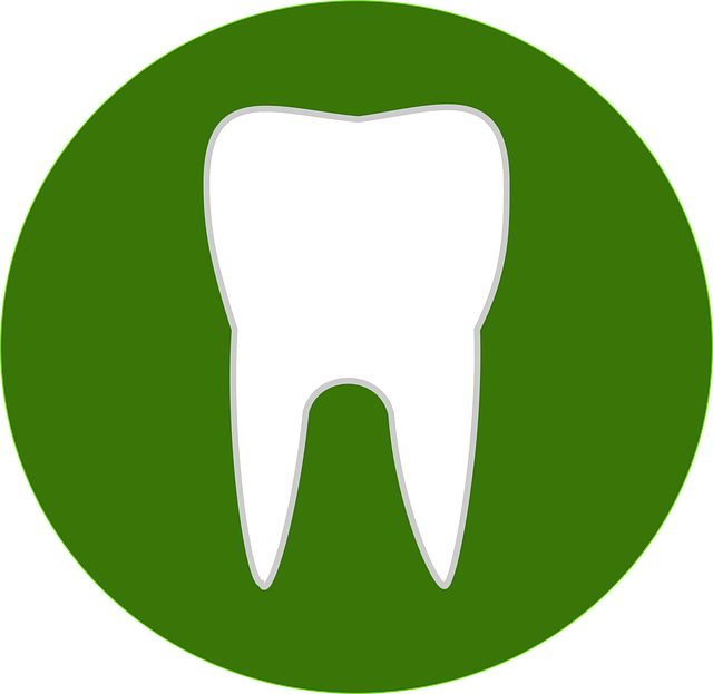prosthodontics dentistry