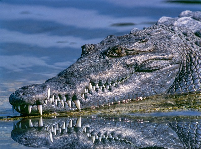 Unlocking a Brighter Smile: Safe Teeth Whitening Solutions