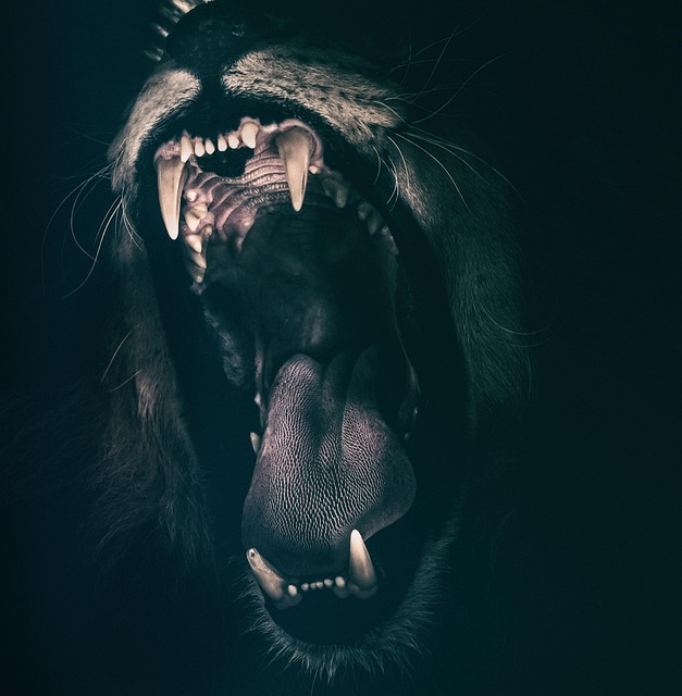teeth whitening