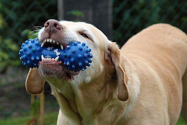 teeth whitening
