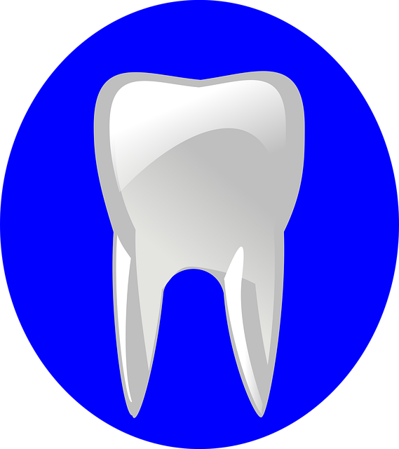 tooth braces
