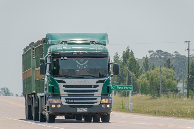 truck crash injuries