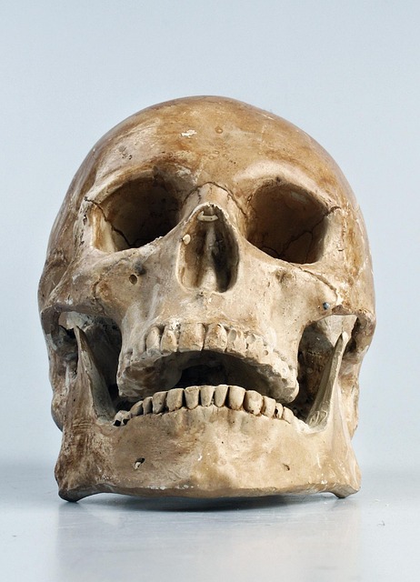 wisdom teeth dentistry
