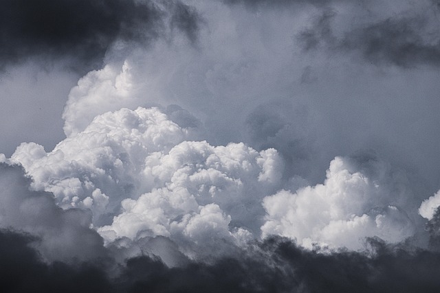 Purify Your Air: Navigating Indoor Health Solutions