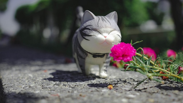 Purify Air: Best Cats-Friendly Solutions for Cleaner Breathes