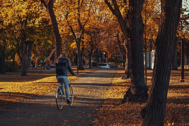 bicycle injury