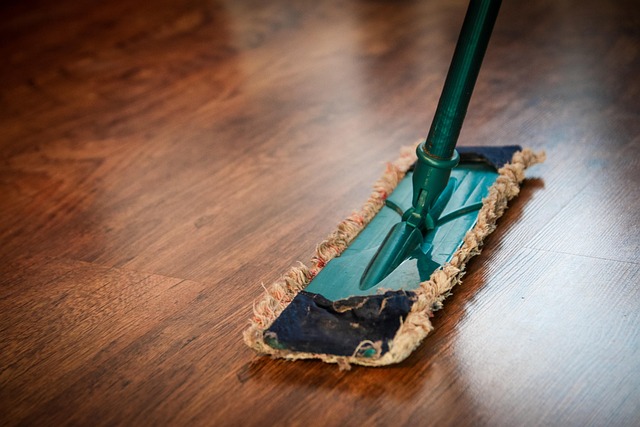 dental cleaning