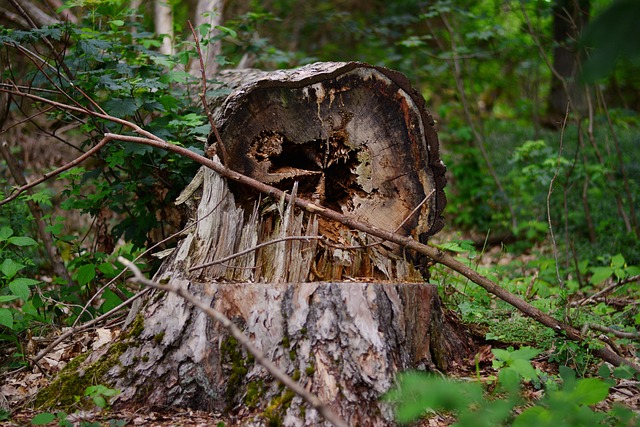 hurricane damage injuries