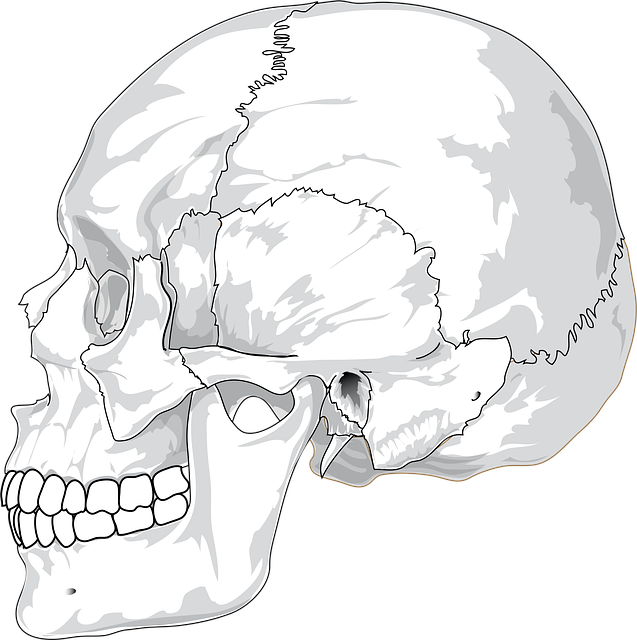 jaw pain blog