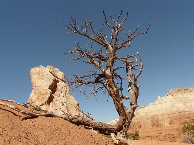 jaw-pain-blog-640x480-36037257.jpeg