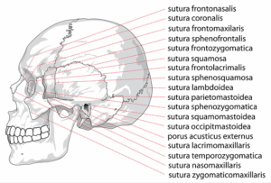 jaw-pain-blog-640x480-63523776.png