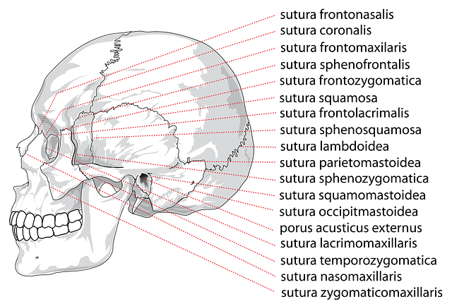 jaw-pain-blog-640x480-63523776.png