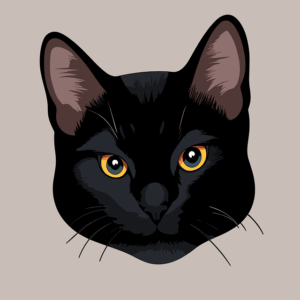 orange-kittens-640x480-62158311.png