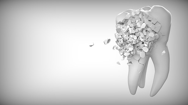 orthodontics dentistry