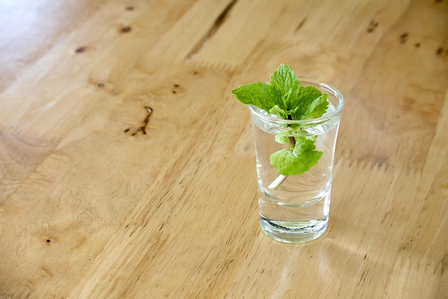 peppermint-tea-640x480-75765737.jpeg